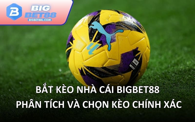 Bắt kèo nhà cái BIGBET88