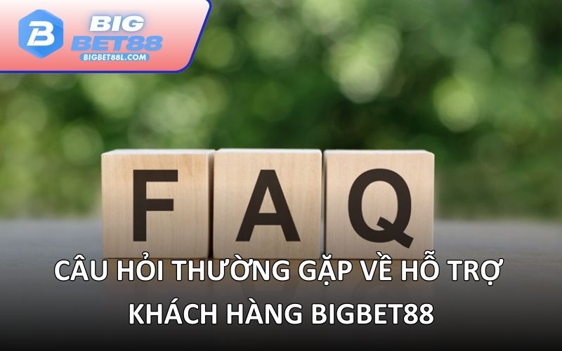 Câu hỏi thường gặp về hỗ trợ khách hàng BIGBET88