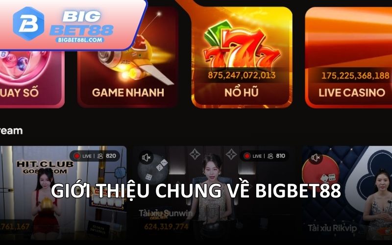 Giới thiệu chung về BIGBET88