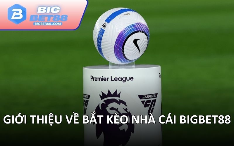 Giới thiệu về bắt kèo nhà cái BIGBET88