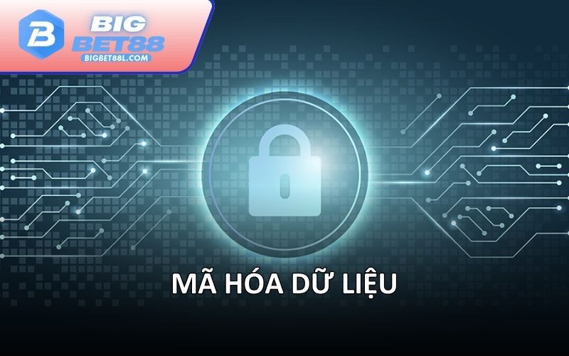 Mã hóa dữ liệu