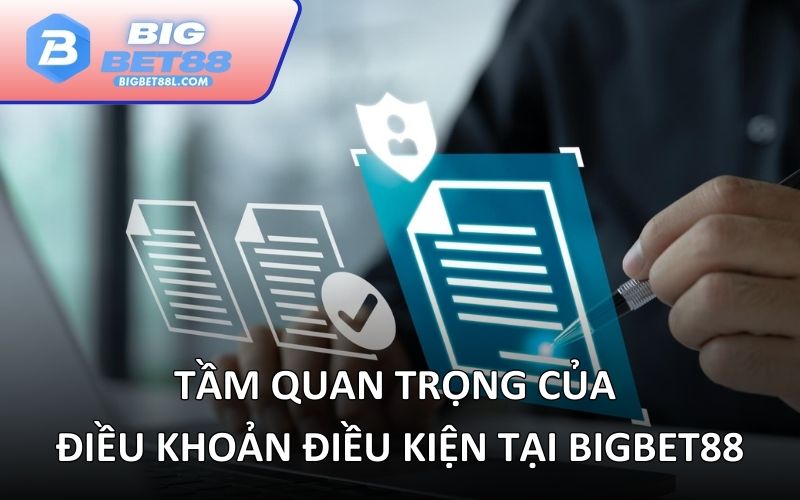Tầm quan trọng của điều khoản điều kiện tại BIGBET88