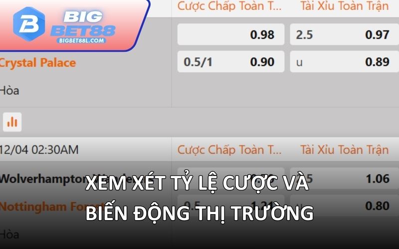 Xem xét tỷ lệ cược và biến động thị trường