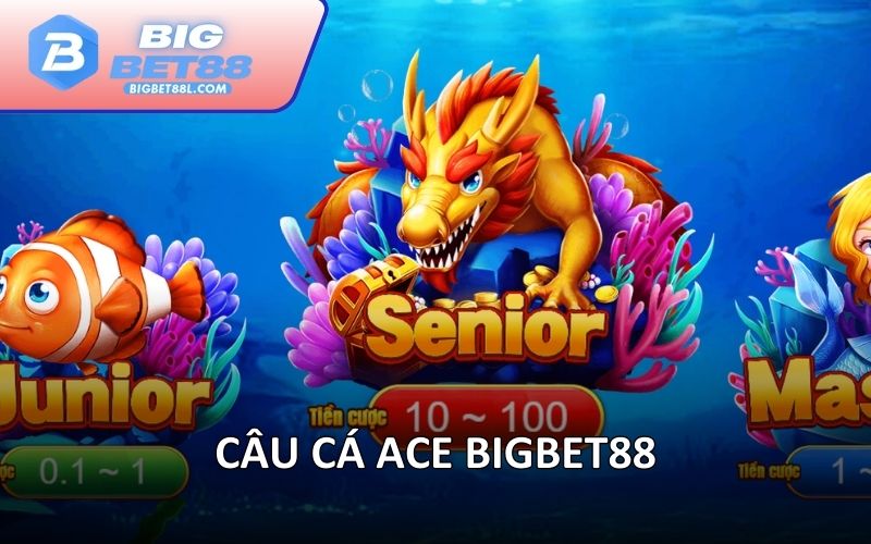 Câu cá ACE BIGBET88