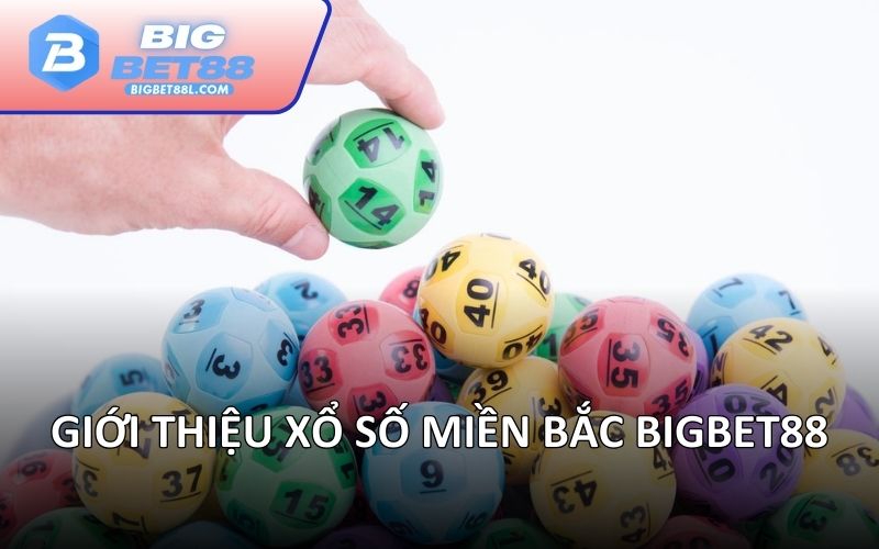 Giới thiệu xổ số miền bắc BIGBET88