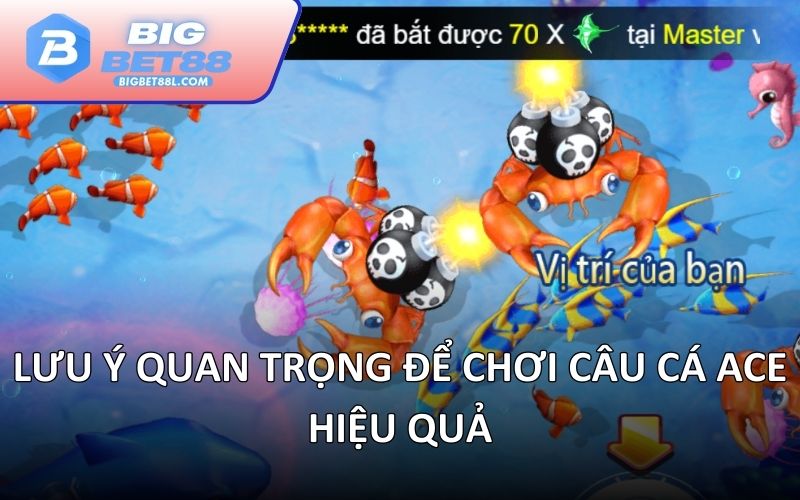 Lưu ý quan trọng để chơi Câu cá ACE hiệu quả