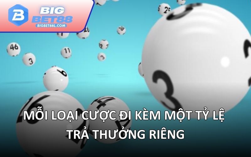 Mỗi loại cược đi kèm một tỷ lệ trả thưởng riêng