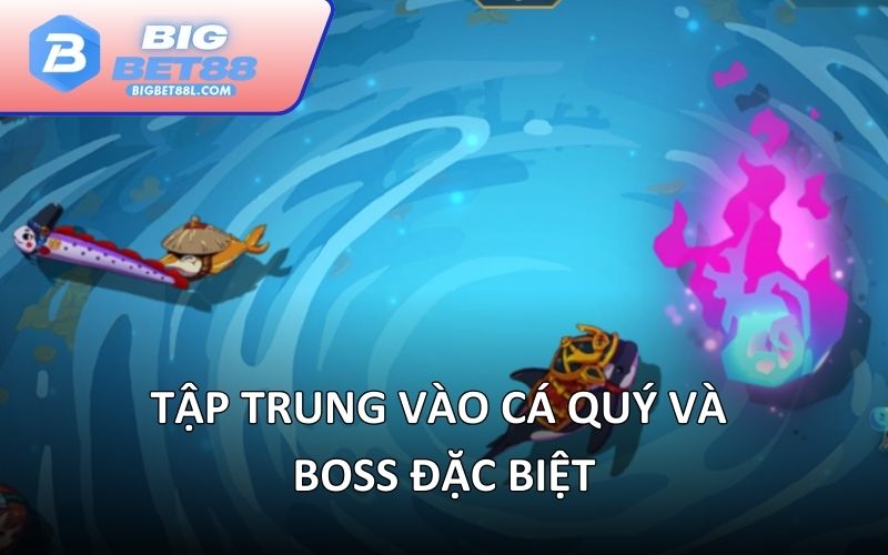 Tập trung vào cá quý và boss đặc biệt