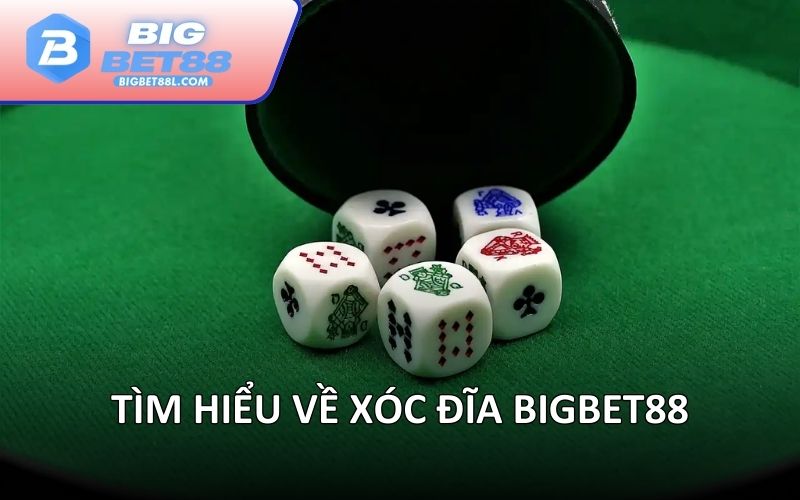 Tìm hiểu về Xóc đĩa BIGBET88