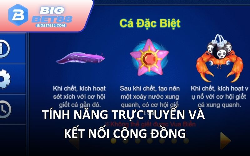 Tính năng trực tuyến và kết nối cộng đồng