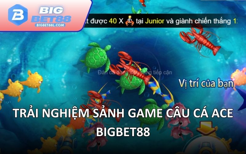 Trải nghiệm sảnh game Câu cá ACE BIGBET88